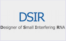 A software named DSIR
