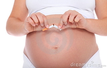 Nicotine during pregnancy: Towards a mechanism of action