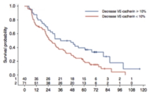 Soluble VE-cadherin: A biomarker in metastatic and hormone-resistant breast cancer?